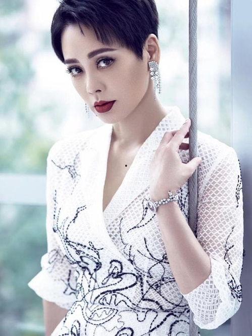 宁静爆料最新消息,娱乐圈最新劲爆消息大揭秘！